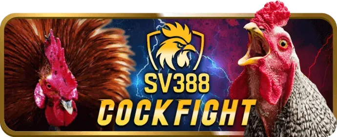 Chính sách bảo mật Vuabet88